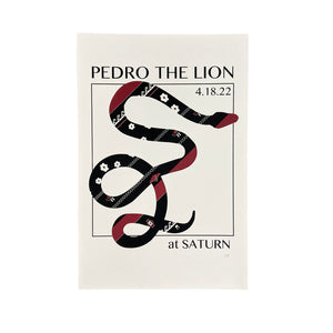 Pedro the Lion at Saturn